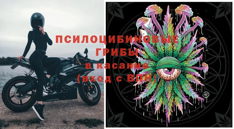 купить   блэк спрут как войти  Псилоцибиновые грибы Psilocybine cubensis  Уфа 